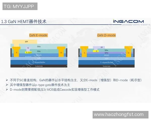 布尔格与朗斯精彩对决在线直播全程回顾与分析