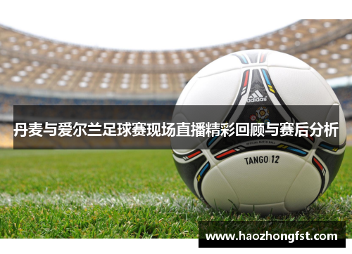丹麦与爱尔兰足球赛现场直播精彩回顾与赛后分析