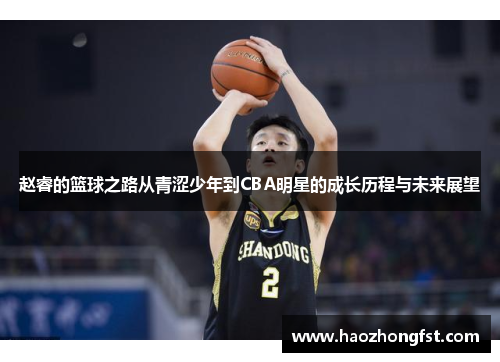 赵睿的篮球之路从青涩少年到CBA明星的成长历程与未来展望